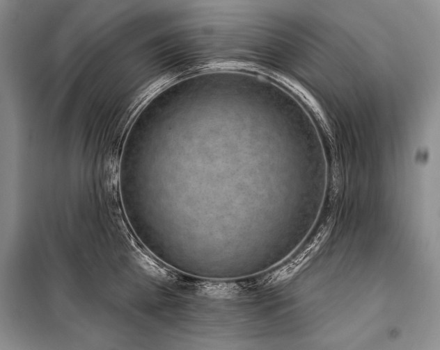 X0000101230809200806271510