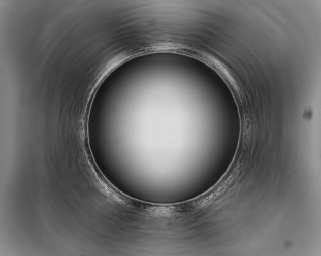 X0000101230810200806271510