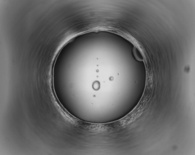 X0000101230811200806271510