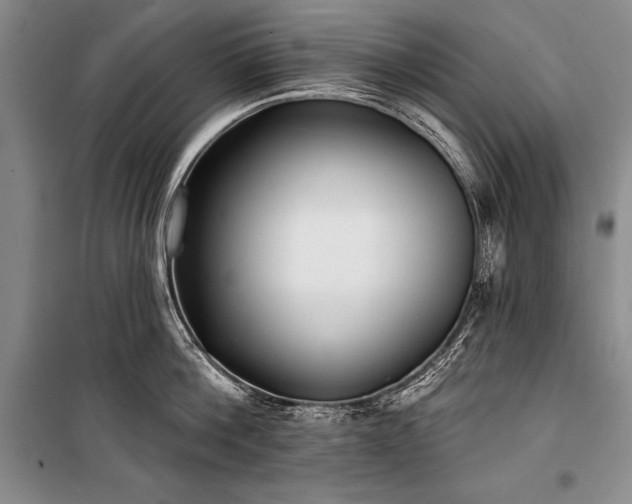 X0000101230812200806271510