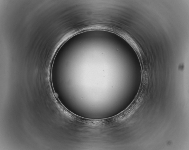 X0000101230813200806271510