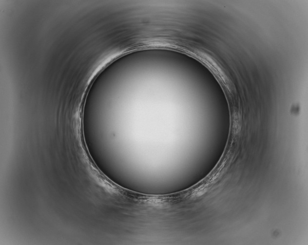 X0000101230814200806271510