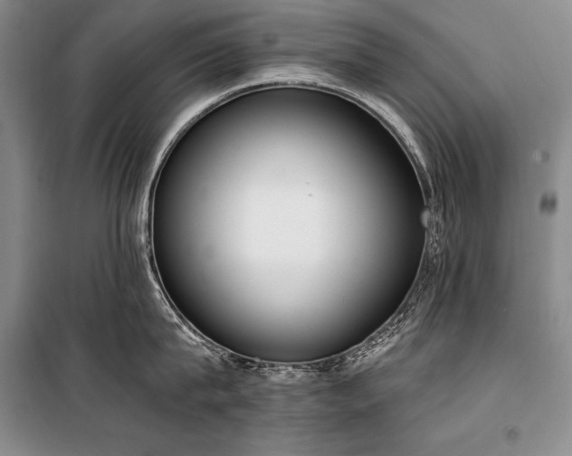 X0000101230815200806271510