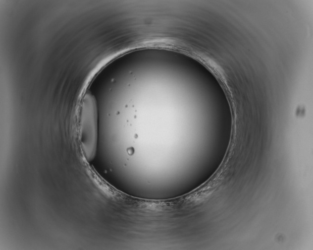 X0000101230816200806271510