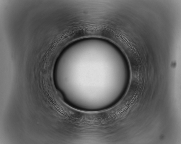 X0000101230817200806271509