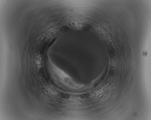 X0000101230818200806271509