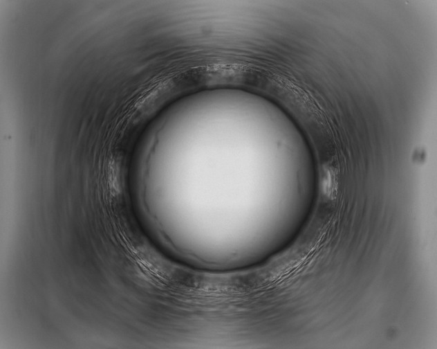 X0000101230819200806271509