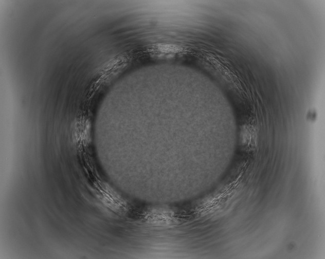 X0000101230820200806271509