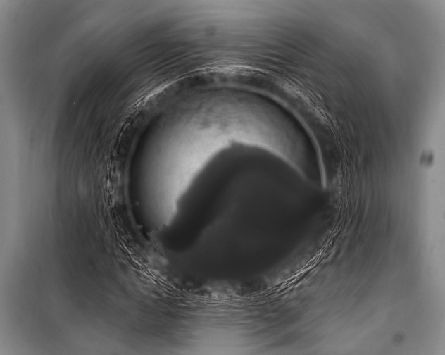 X0000101230822200806271509
