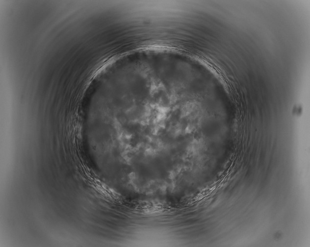 X0000101230823200806271509