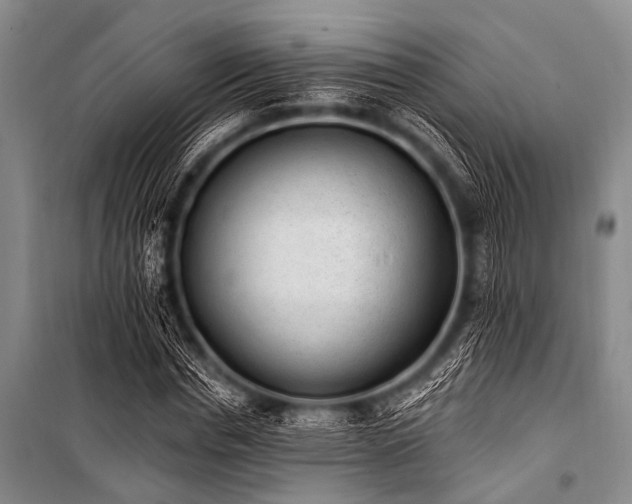X0000101230826200806271509