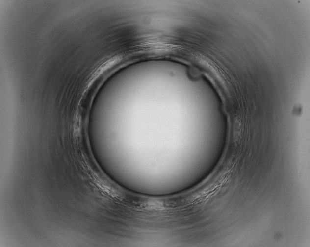 X0000101230827200806271509