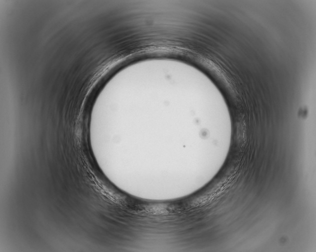 X0000101230828200806271509