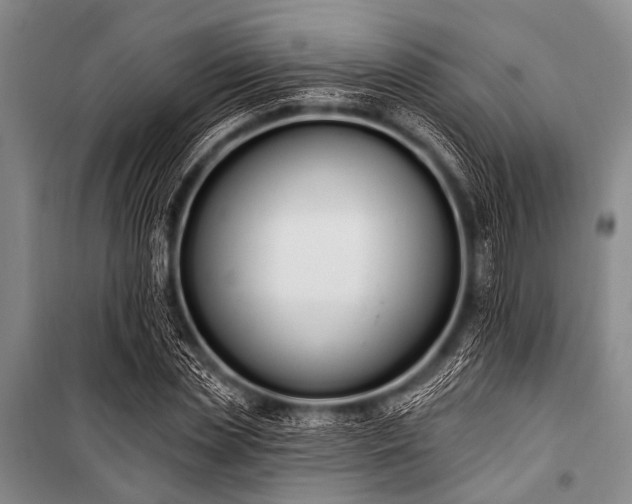 X0000101230829200806271509