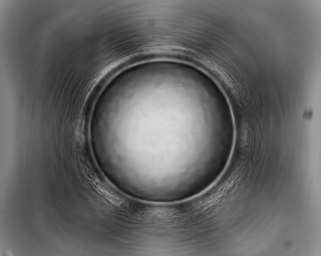 X0000101230830200806271509