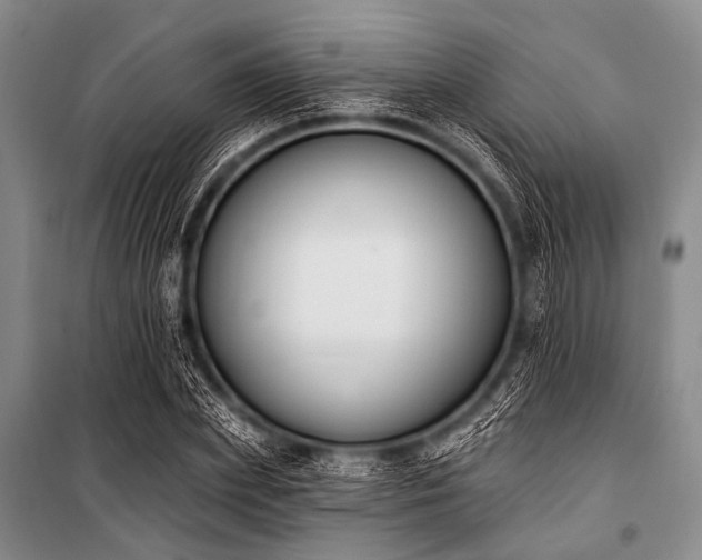 X0000101230831200806271509