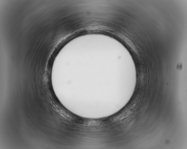 X0000101230832200806271509