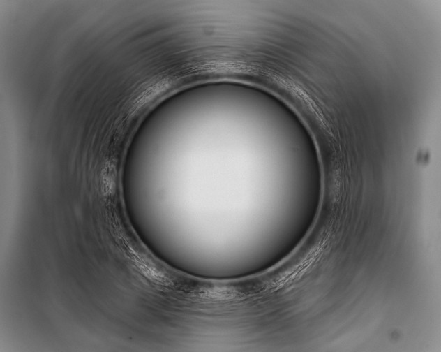 X0000101230833200806271509