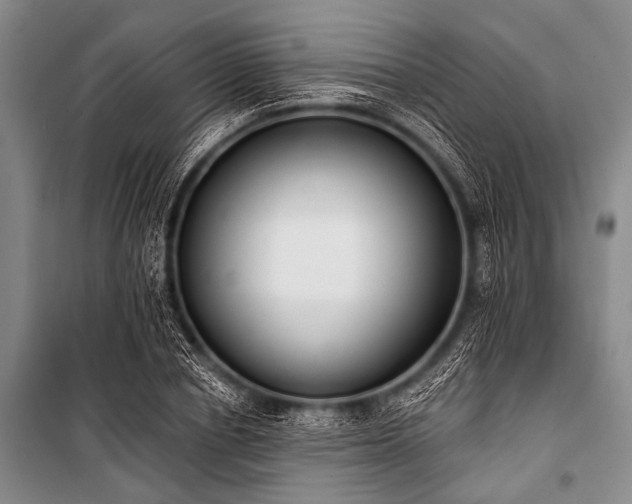 X0000101230834200806271509