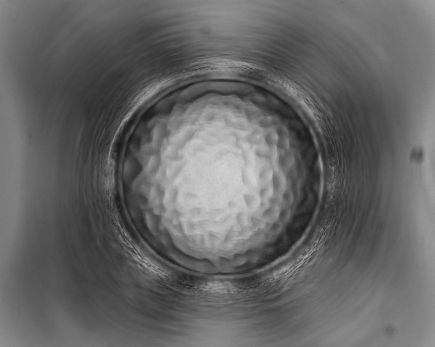 X0000101230835200806271509