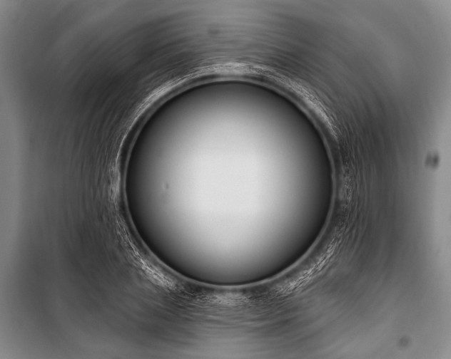 X0000101230837200806271509