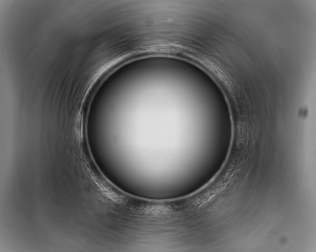 X0000101230838200806271509