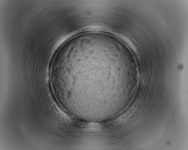 X0000101230839200806271509