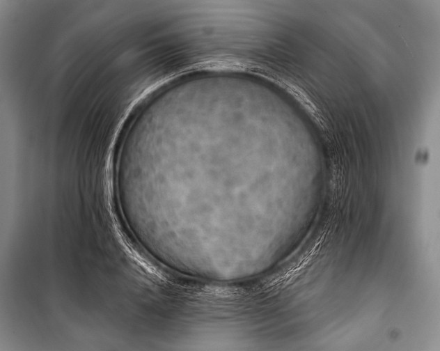 X0000101230840200806271509