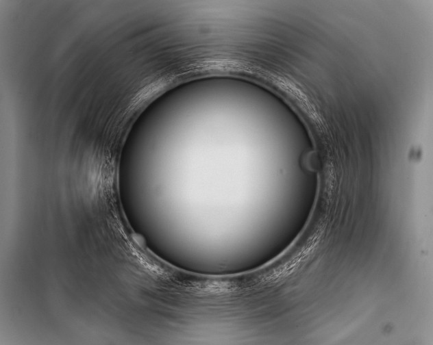 X0000101230841200806271509