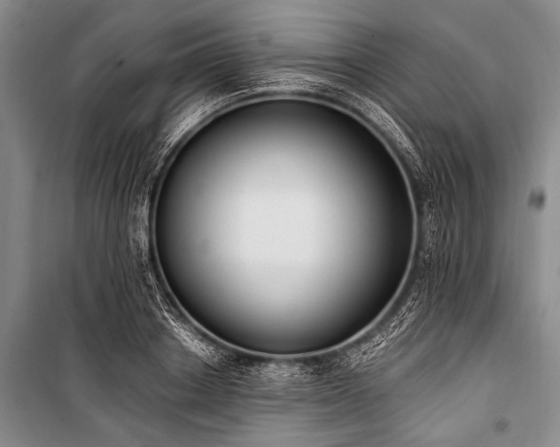 X0000101230842200806271509