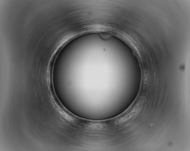 X0000101230843200806271509
