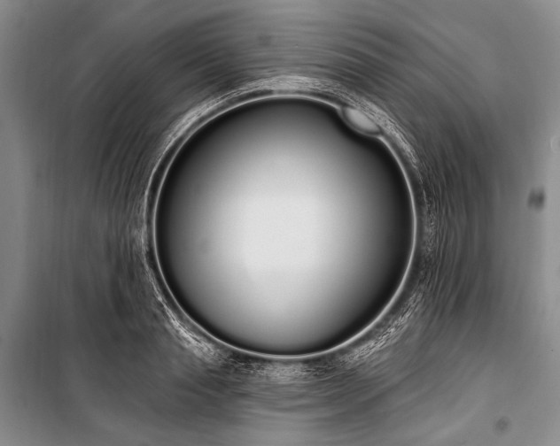 X0000101230845200806271509