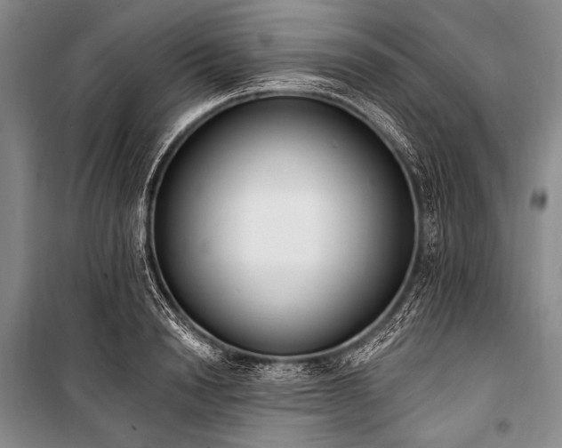 X0000101230846200806271509