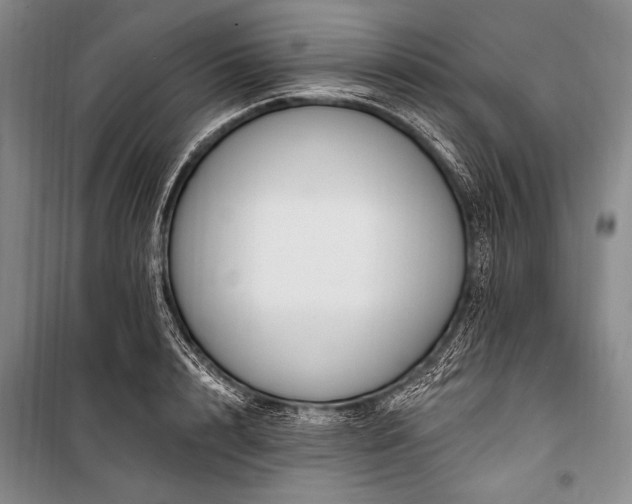 X0000101230848200806271509