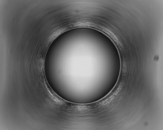 X0000101230849200806271509
