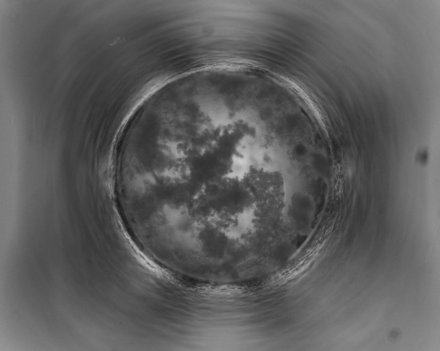X0000101230851200806271509