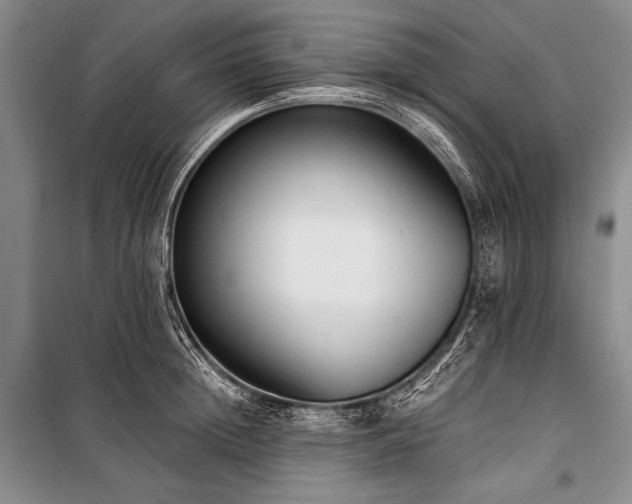 X0000101230852200806271509