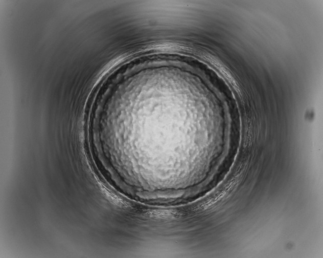 X0000101230853200806271509