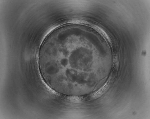 X0000101230855200806271509
