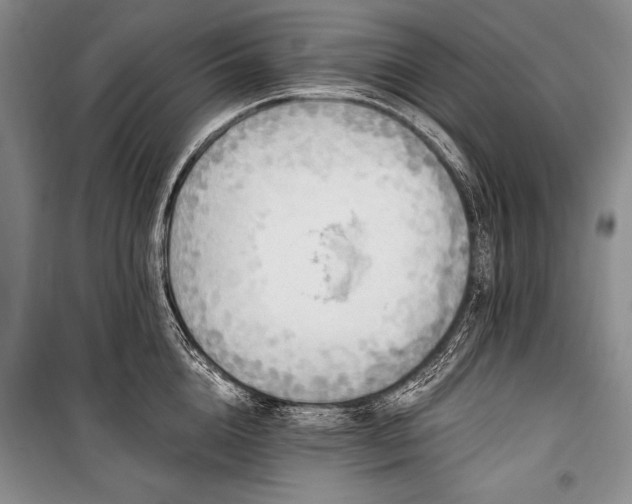 X0000101230856200806271509