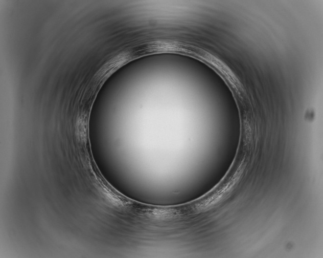 X0000101230857200806271509