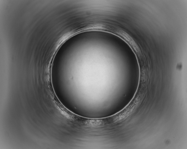 X0000101230858200806271509