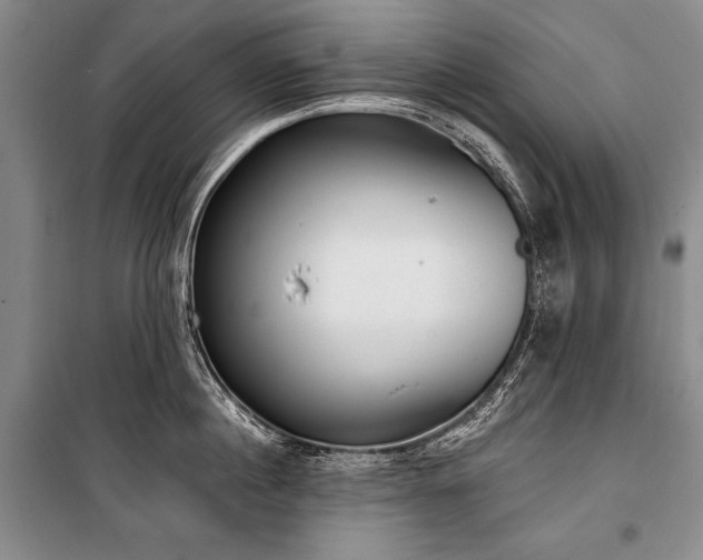 X0000101230860200806271509