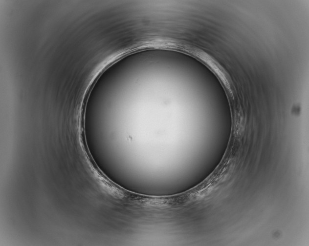 X0000101230861200806271510