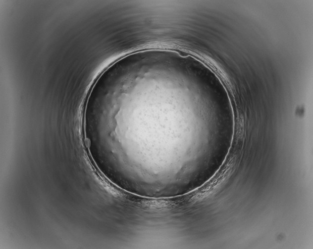 X0000101230862200806271510