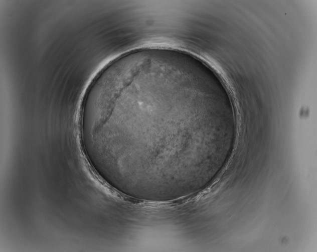 X0000101230864200806271510