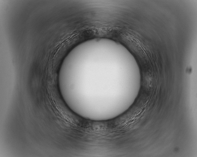 X0000101230865200806271509