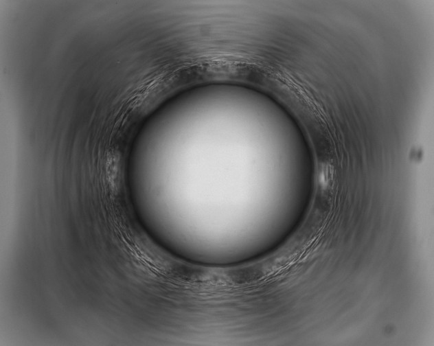 X0000101230867200806271509