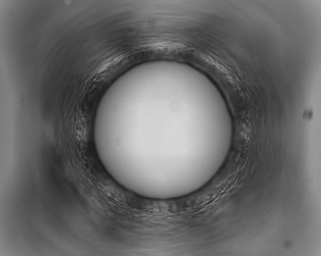 X0000101230869200806271509