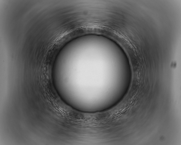 X0000101230870200806271509